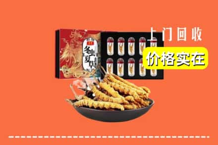 通州区回收冬虫夏草